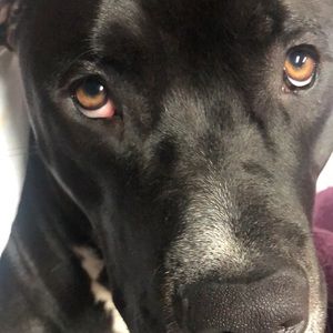 Meet your Posher, Karina